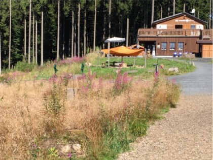 Photo:  Wisent-H&amp;uuml;tte